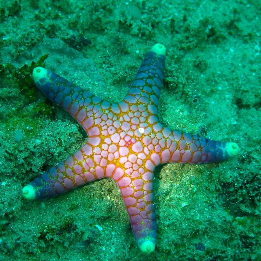 Seadina Coral Home Ματάρα Εξωτερικό φωτογραφία