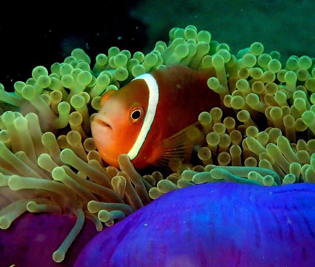 Seadina Coral Home Ματάρα Εξωτερικό φωτογραφία